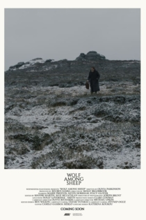 Wolf Among Sheep