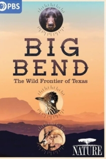 Big Bend: The Wild Frontier of Texas