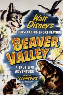 Beaver Valley