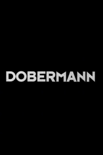 Dobermann