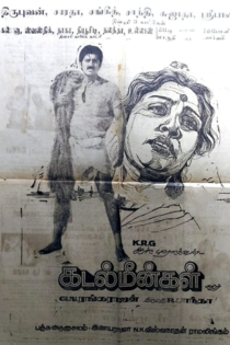 கடல் மீன்கள்