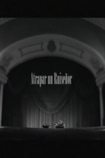 Atrapar un ruiseñor