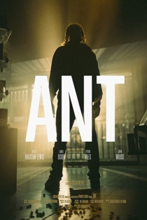 Ant