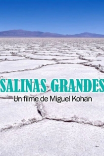 Salinas grandes