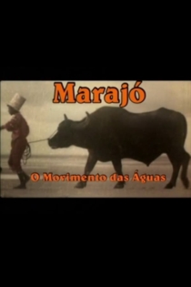 Marajó: A Origem das Águas