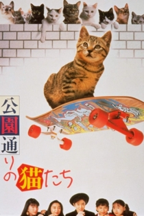 公園通りの猫たち