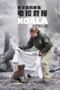 Koala Rescue