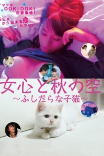 A Woman's Mind and the Winter Wind Change Often: Immoral Kitten