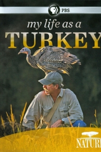 My Life as a Turkey