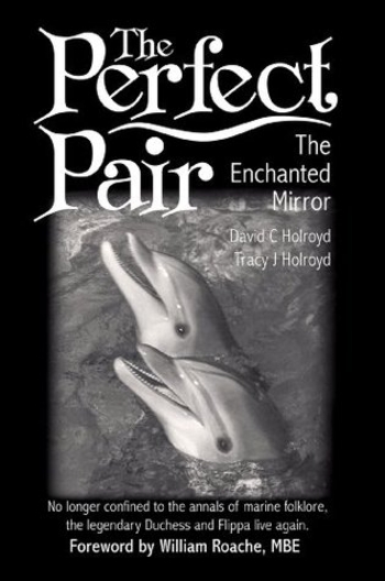 The Perfect Pair: The Enchanted Mirror