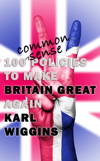 Book 100 Common Sense Policies to make BRITAIN GREAT again