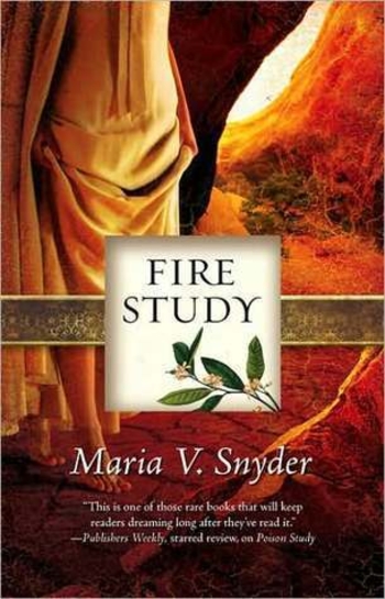 Book Fire Study