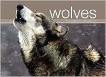 Wolves A Photographic Celebration
