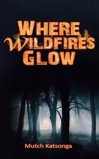 Where Wildfires Glow