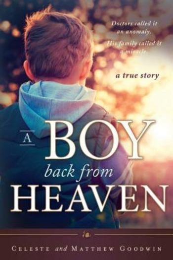 Book A Boy Back from Heaven