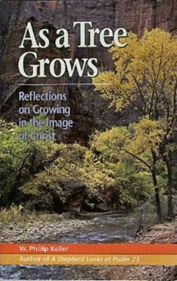 As a Tree Grows: Reflections on Growing in the Image of Christ