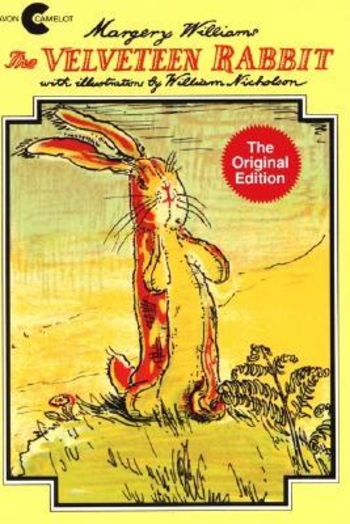 Book The Velveteen Rabbit