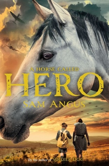 Book A Horse Called Hero