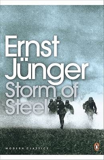 Book Storm of Steel