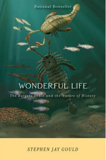 Book Wonderful Life