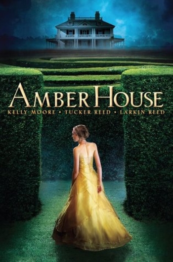 Book Amber House