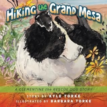 Hiking the Grand Mesa: A Clementine the Rescue Dog Story