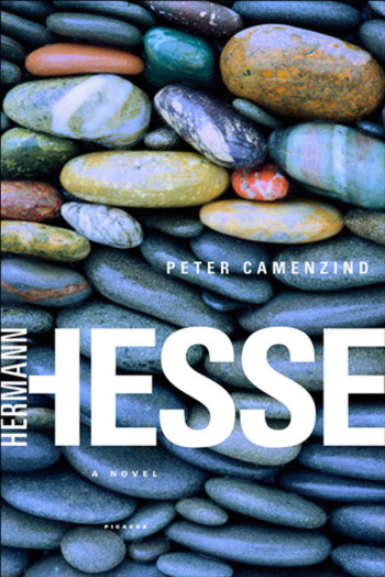 Book Peter Camenzind