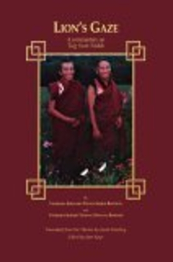 Lion's Gaze: A Commentary on Tsig Sum Nedek