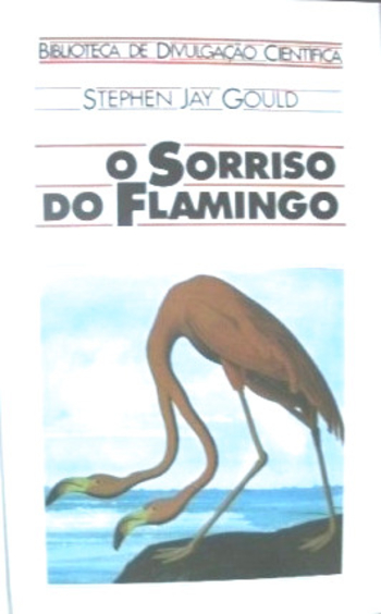 Book O sorriso do flamingo