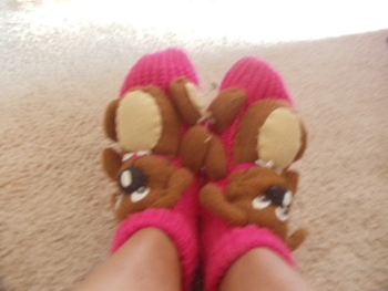 Diary of A Sick Chick: A Year in The Life of A Chronically Ill Woman