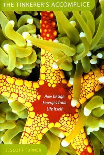 The Tinkerer's Accomplice: How Design Emerges from Life Itself