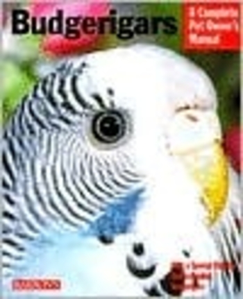 Budgerigars