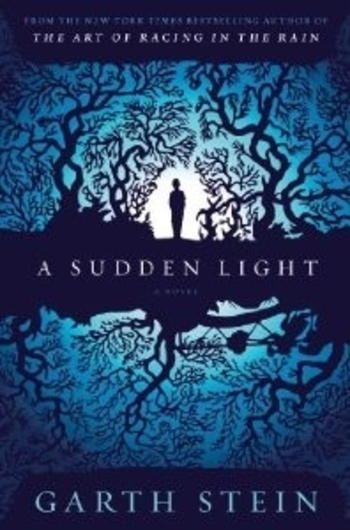 Book A Sudden Light