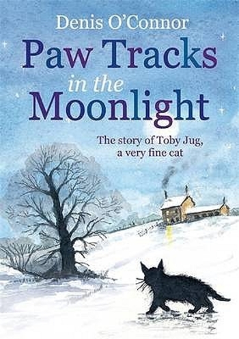 Paw Tracks in the Moonlight