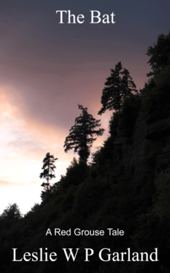 The Bat (The Red Grouse Tales) - A coming of age story involving a search after truth, doubt and a bat!