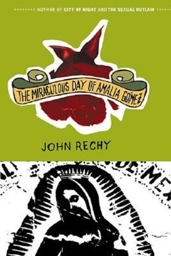 The Miraculous Day of Amalia Gómez