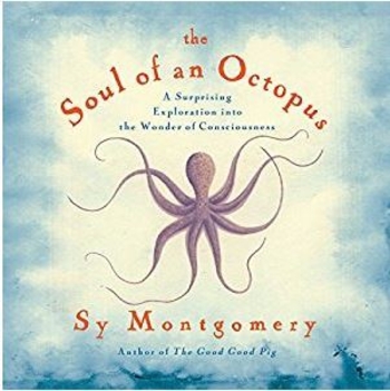 The Soul of an Octopus: A Surprising Exploration into the Wonder of Consciousness