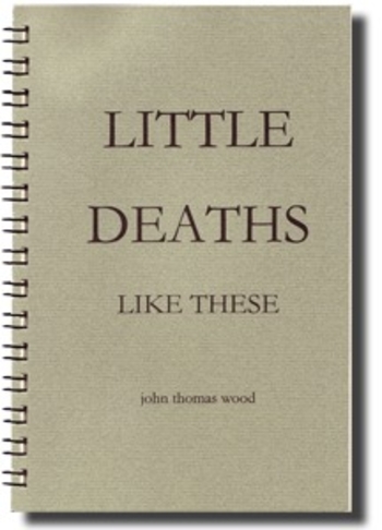 Little Deaths Like These