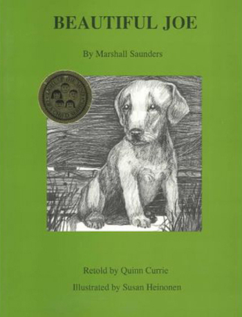 Beautiful Joe: The True Story of a Brave Dog