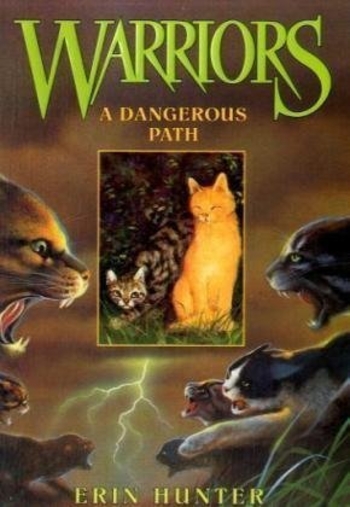Book A Dangerous Path