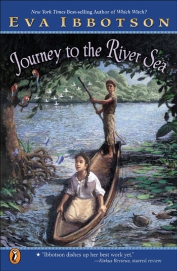 Book Journey to the River Sea