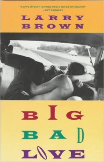 Book Big Bad Love