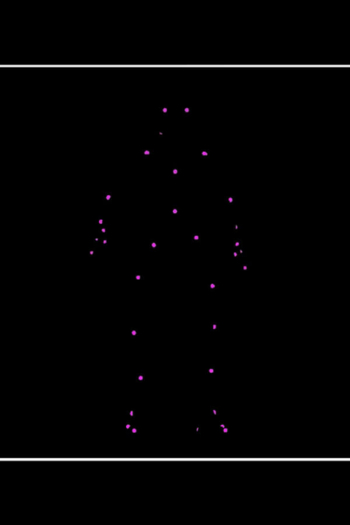 Network Reconstruction Of Nematode Symbionts