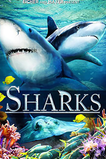 Sharks (in 3D)