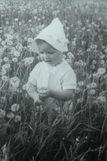 Through the blooming linden
