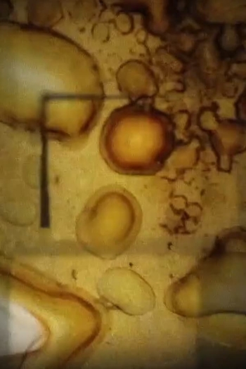 Meditation about the meaning of the life