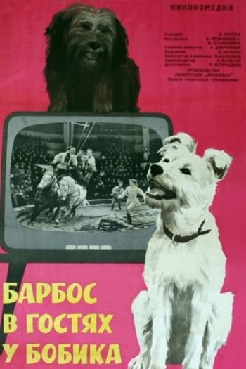 Барбос в гостях у Бобика