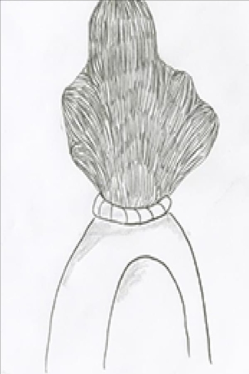 I hibernated all year