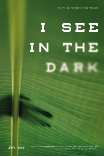 I See in the Dark