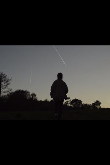 Cuando miro por la ventana veo el bosque